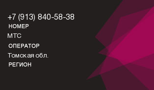 9138405838